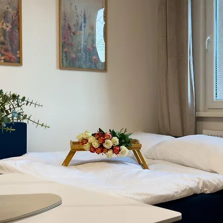 The Minimalist Apartment Surany